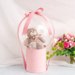 Bubble (Bobo) Balloon 18" Pack 5 Clear (46cmD)