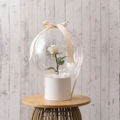 Bubble (Bobo) Balloon 22