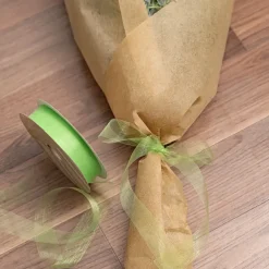 Bulk Organza Ribbon Cut Edge Lime (25mmx100m)