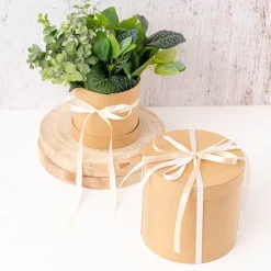 Bulk Ribbon Single Face Satin Nude (10mmx50m)