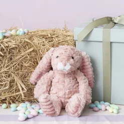 Bunny Nibbles Plush Soft Toy Dusty Pink (22cmST)