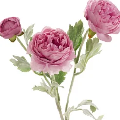 Buttercup Ranunculus Spray x3 Dusty Pink (52cmH)