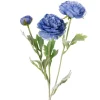 Buttercup Ranunculus Spray x3 French Blue (52cmH)