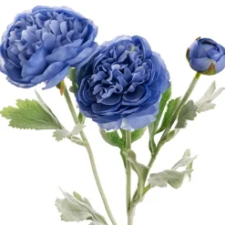 Buttercup Ranunculus Spray x3 French Blue (52cmH)