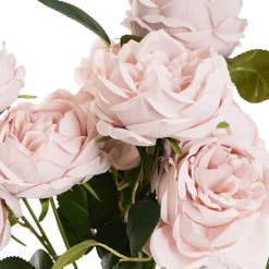 Cabbage Rose x 10 Heads Bouquet Blush Pink (9cmDx45cmH)