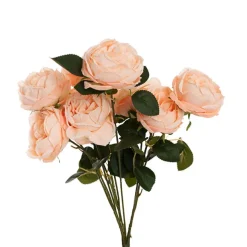 Cabbage Rose x 10 Heads Bouquet Soft Peach (9cmDx45cmH)