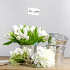 Card Forks 25cm (10") Clear Pack 200