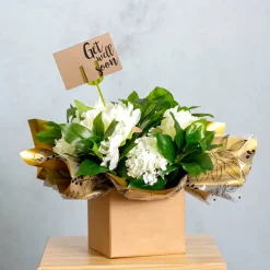 Card Forks Premium Four Prong 25cm(10") Olive Green Pack 100