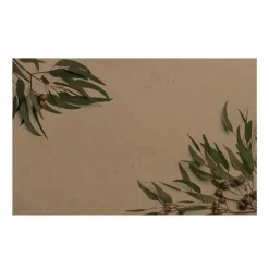 Cards Brown Kraft Native Gum Nuts & Leaves (10x6.5cmH) Pk 50