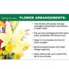 Cards Flower Care Flowers Arrangements (10x6.5cmH) Pack 50