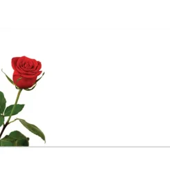 Cards Rose Bud Single (10x6.5cmH) Pack 50