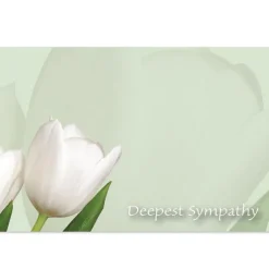 Cards Tulips Deepest Sympathy Green Card (10x6.5cmH) Pack 50