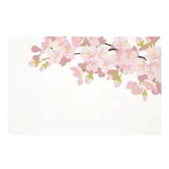 Cards White Cherry Blossom Branch (10x6.5cmH) Pk 50