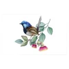 Cards White Fairy Wren Bird on Branch (10x6.5cmH) Pack 50