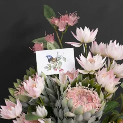 Cards White Fairy Wren Bird on Branch (10x6.5cmH) Pack 50