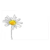 Cards White Hand Drawn Single Daisy (10x6.5cmH) Pack 50