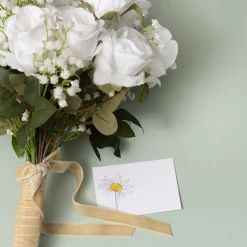 Cards White Hand Drawn Single Daisy (10x6.5cmH) Pack 50