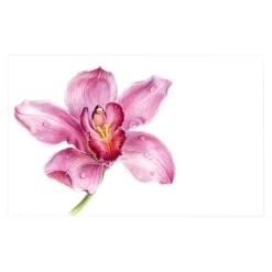 Cards White Pink Orchid Full Bloom (10x6.5cmH) Pack 50