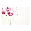 Cards White Poppies (10x6.5cmH) Pk 50