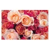 Cards White Roses Galore Pink & Peach (10x6.5cmH) Pack 50