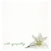 Cards White With Sympathy White Lily (10x10cmH) Pk 50