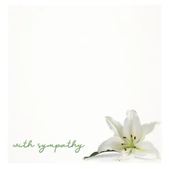 Cards White With Sympathy White Lily (10x10cmH) Pk 50