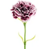 Carnation Ruffle Stem Cream Wine (9cmDx42cmH)