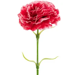 Carnation Ruffle Stem Cream Rouge Pink (9cmDx42cmH)