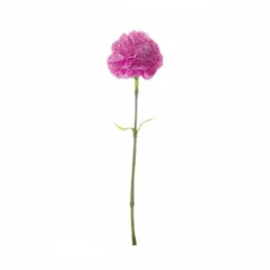 Carnation Ruffle Stem Hot Pink (9cmDx42cmH)