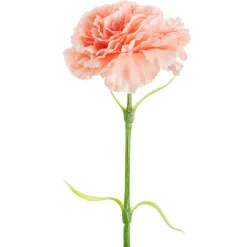 Carnation Ruffle Stem Soft Peach (9cmDx42cmH)