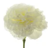 Carnation Ruffle Stem White (9cmDx42cmH)