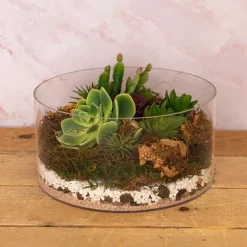 Carolina Moss Mix Preserved Bag Moss Assorted (55gm Bag)