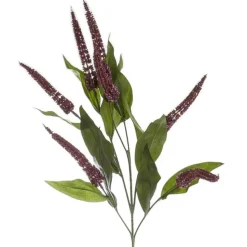 Cascara Berry Spray x7 Burgundy (84cmH)0