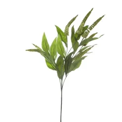 Cascara Berry Spray x7 Green (84cmH)