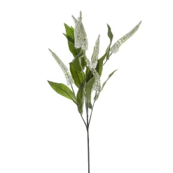 Cascara Berry Spray x7 White (84cmH)