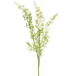 Catmint Spray Cream (75cmH)