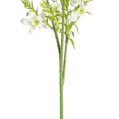 Catmint Spray Cream (75cmH)