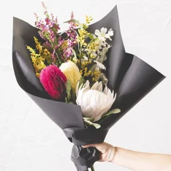 Catmint Spray Yellow (75cmH)