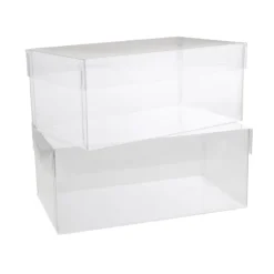 Cello Acetate PVC Corsage Box (10x18x8cmH) Rctang Pk 2 Clear