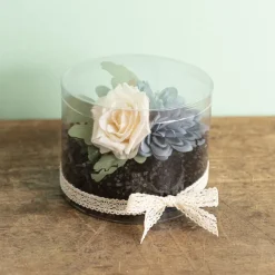 Cello Acetate PVC Corsage Gift Box (15cmDx12cmH) Round Clear