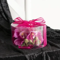 Cello Acetate PVC Corsage Box (12cmDx7cmH) Round Clear