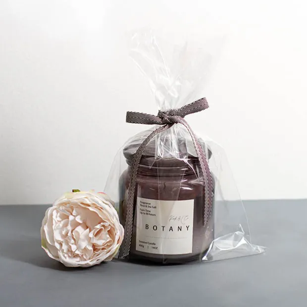 Cello Bag 48mic Pack 100 Clear (21x30cmH) A4 Size