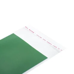 Cello Bag Self Seal 48mic Pack 100 Clear (10.5x22cmH) DL