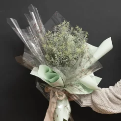 Cello Clear Christmas Holly 40mic Green (50x70cm) Pack 100