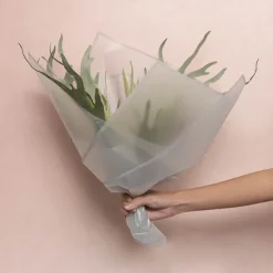 Cello Frosted Hue Silhouette 50mic Ash Grey Pk100 (50x70cm)