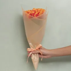 Cello Frosted Hue Silhouette 50mic Apricot Pk100 (50x70cm)