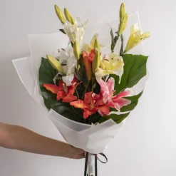 Cello Frosted Hue with Border 50mic White Pk100 (60x60cm)