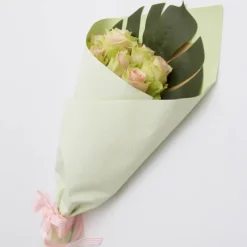 Cello Regal Classic Stripes 65mic Mint (50x70cm) Pack 100