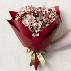 Cello Regal Pro 65mic Burgundy (50x70cm) Pack 100