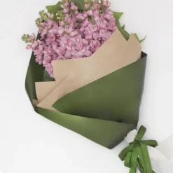 Cello Regal Pro 65mic Burgundy (50x70cm) Pack 100